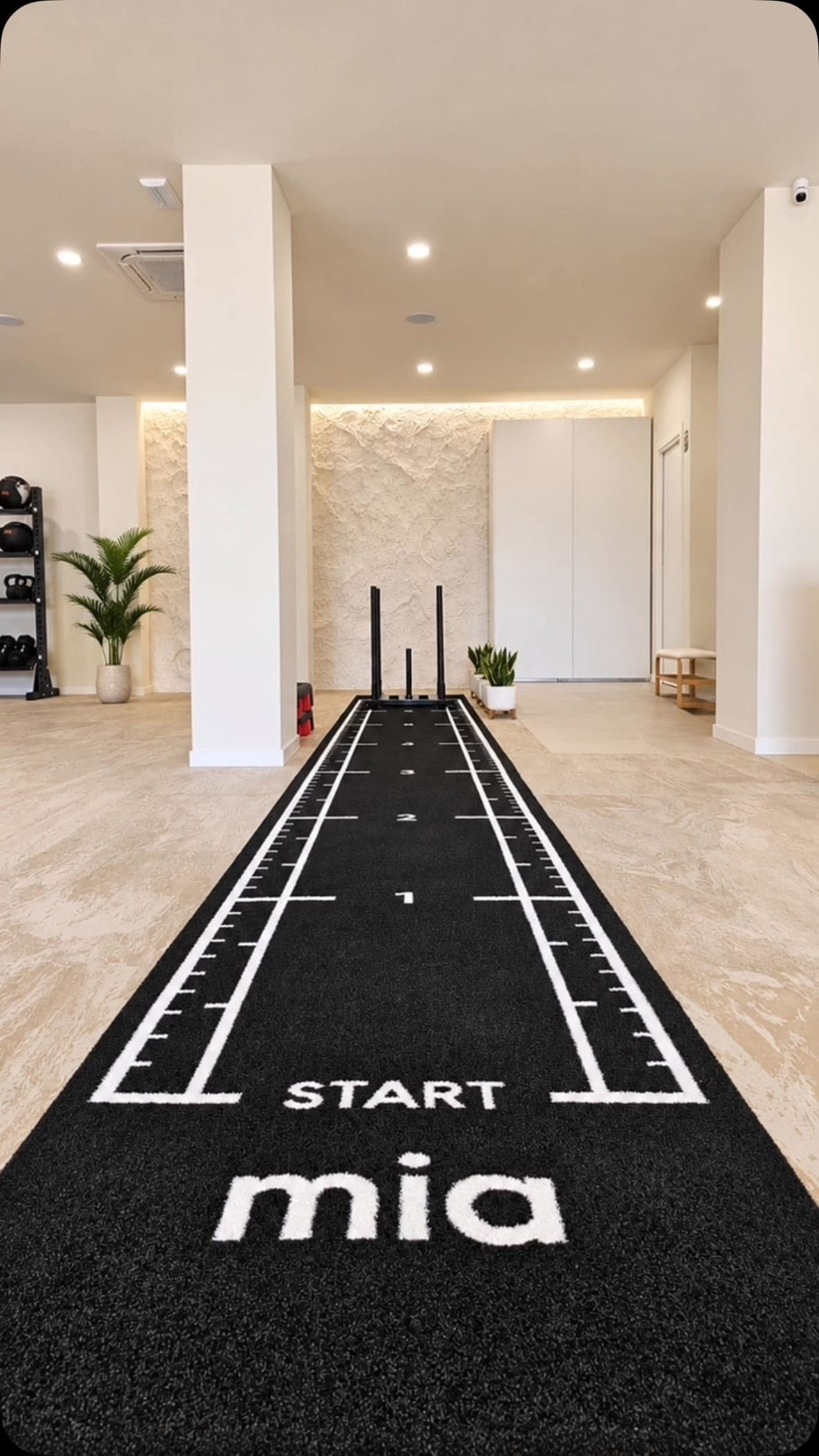 Pista de arrastre negra con líneas blancas en un gimnasio