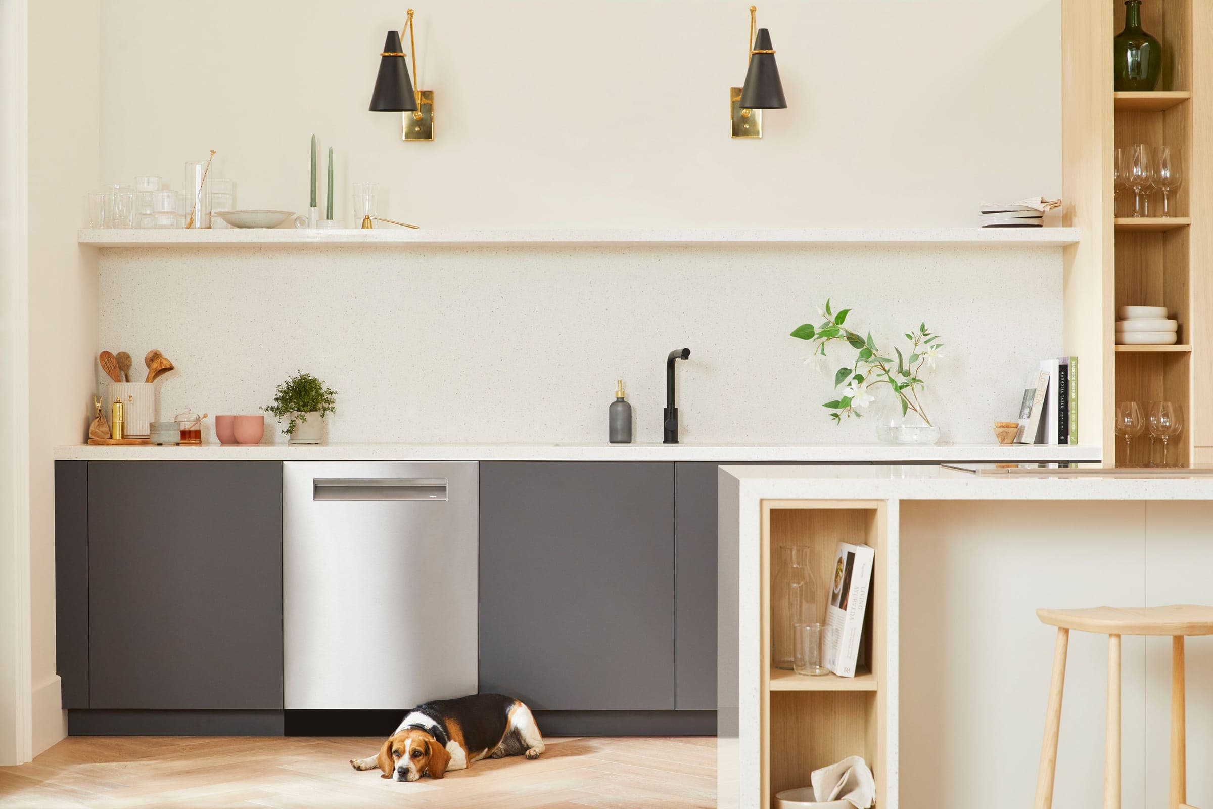 Lavavajillas de acero inoxidable con jaladera empotrada entre gabinetes gris oscuro, bajo un muro blanco con repisa, dos arbotantes negros con latón y una llave negra; a la derecha, una isla con libreros de madera y un banco, y un perro beagle echado en el piso de madera en espiga.